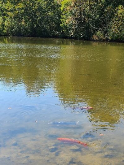 Washington Lake Park - Sewell, NJ