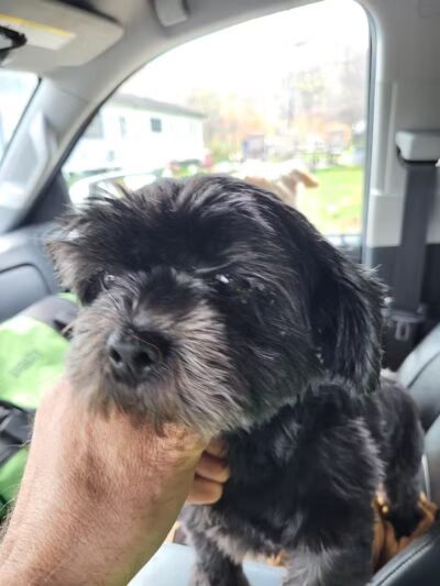 Shandaken Dog Park - Shandaken, NY