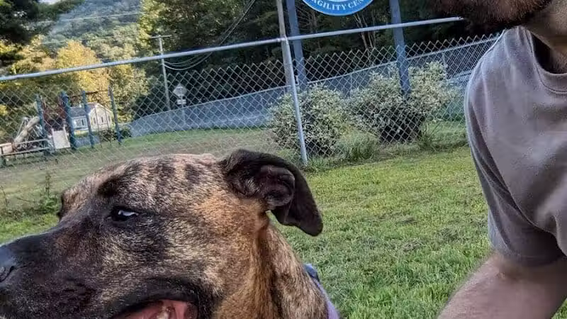 Shandaken Dog Park - Shandaken, NY