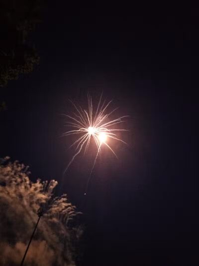 Lion's Park - Shannon, IL