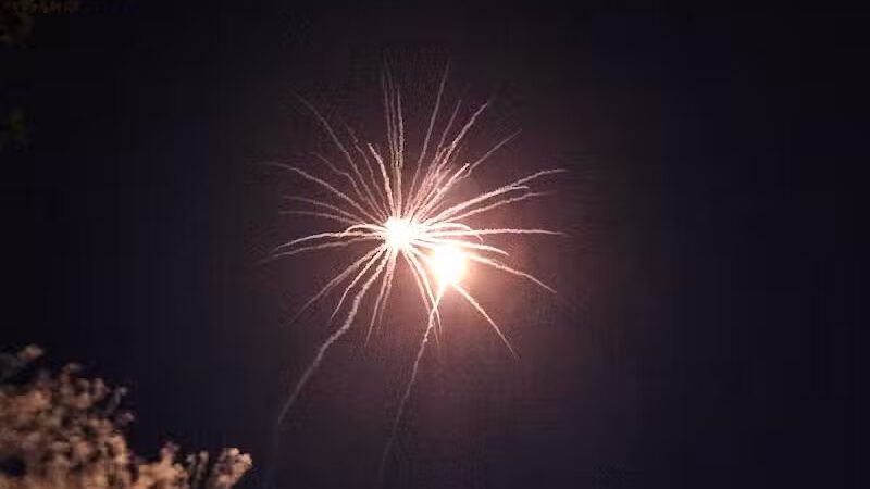 Lion's Park - Shannon, IL