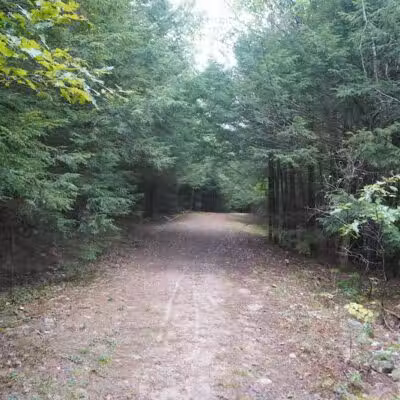 Williams Town Park - Shapleigh, ME