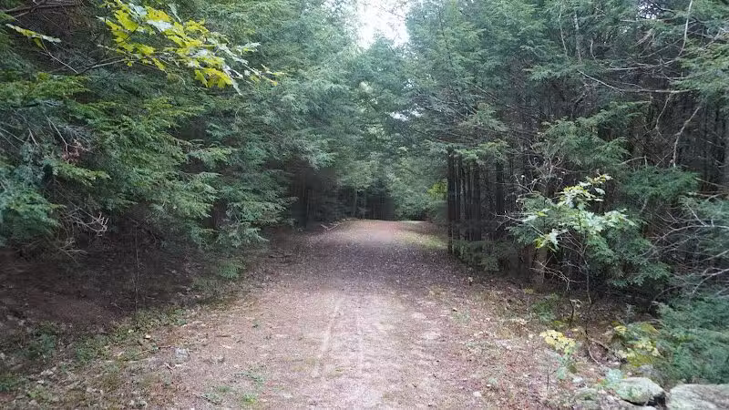 Williams Town Park - Shapleigh, ME