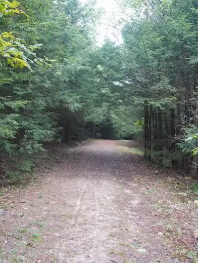 Williams Town Park - Shapleigh, ME