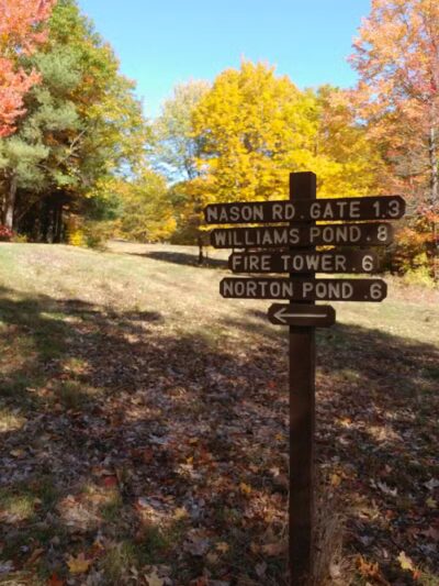 Williams Town Park - Shapleigh, ME