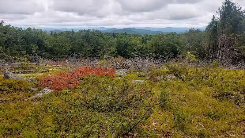Williams Town Park - Shapleigh, ME
