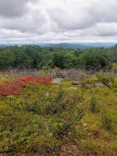 Williams Town Park - Shapleigh, ME