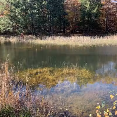 Williams Town Park - Shapleigh, ME
