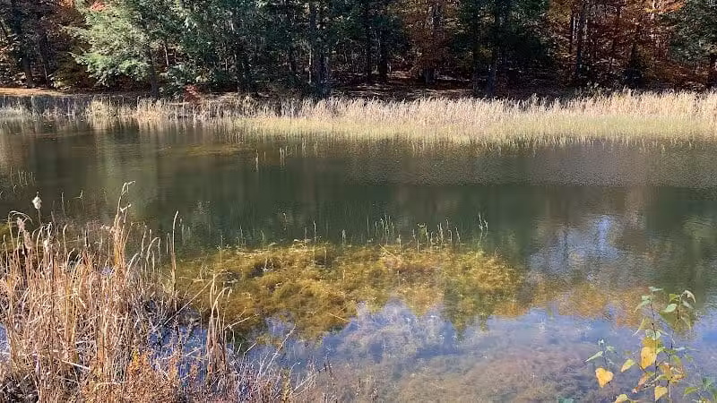 Williams Town Park - Shapleigh, ME