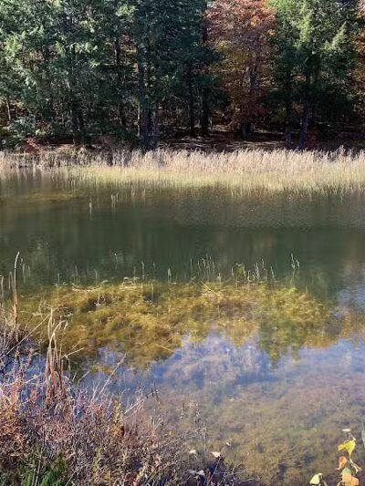 Williams Town Park - Shapleigh, ME