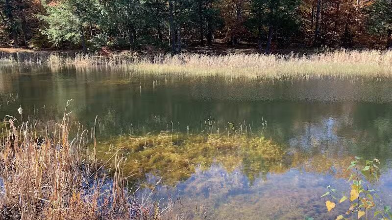 Williams Town Park - Shapleigh, ME