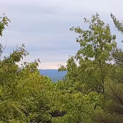 Williams Town Park - Shapleigh, ME