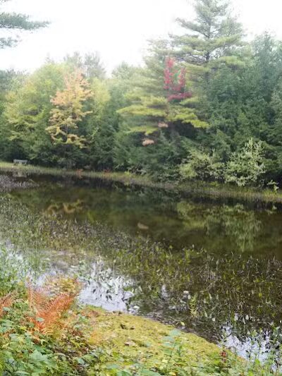 Williams Town Park - Shapleigh, ME