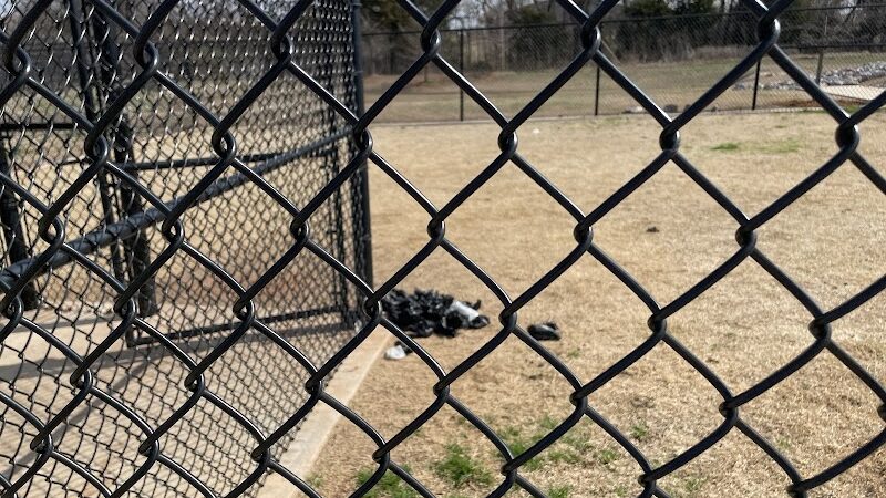 Domino Dog Park - Shawnee, OK