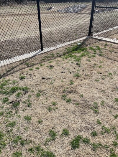 Domino Dog Park - Shawnee, OK