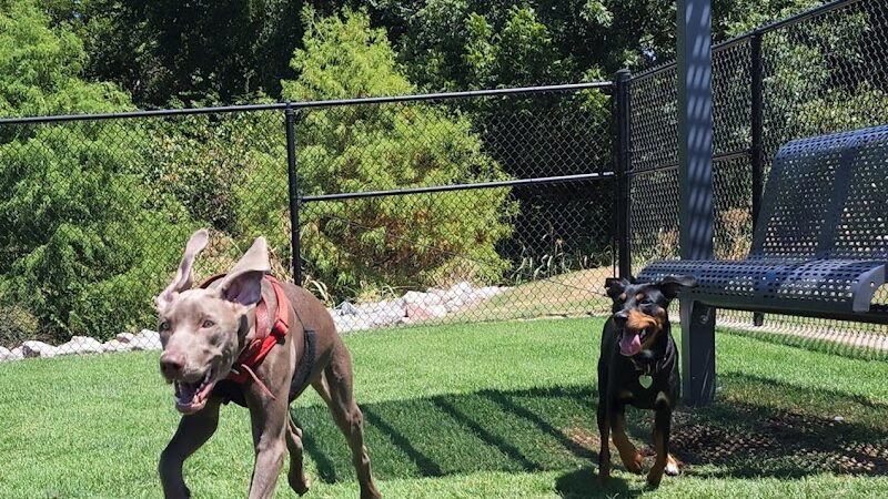 Domino Dog Park - Shawnee, OK