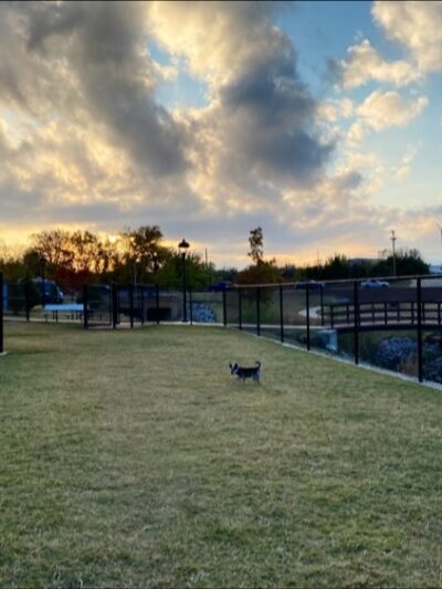 Domino Dog Park - Shawnee, OK