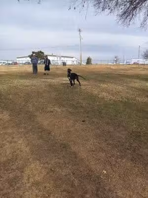 Mary Maxine Williamson Dog Park - Shawnee, OK