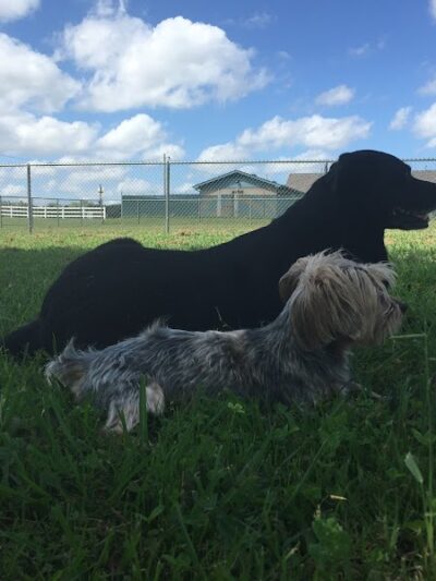 Mary Maxine Williamson Dog Park - Shawnee, OK