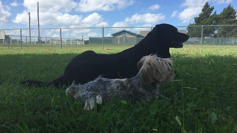 Mary Maxine Williamson Dog Park - Shawnee, OK