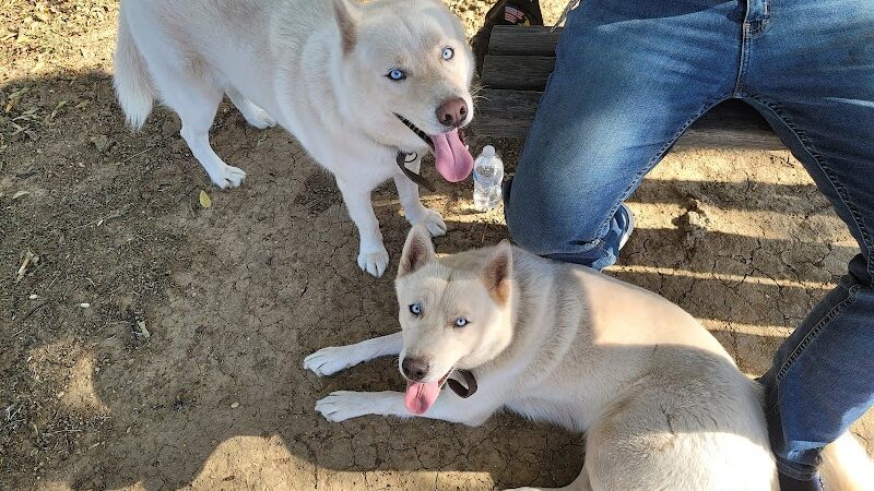 Mary Maxine Williamson Dog Park - Shawnee, OK
