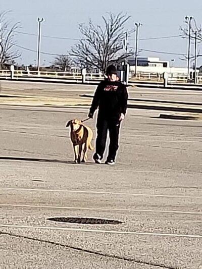 Mary Maxine Williamson Dog Park - Shawnee, OK