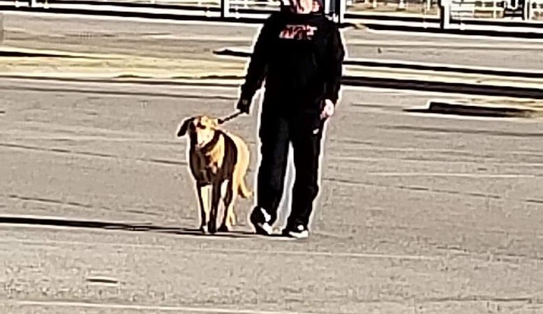 Mary Maxine Williamson Dog Park - Shawnee, OK