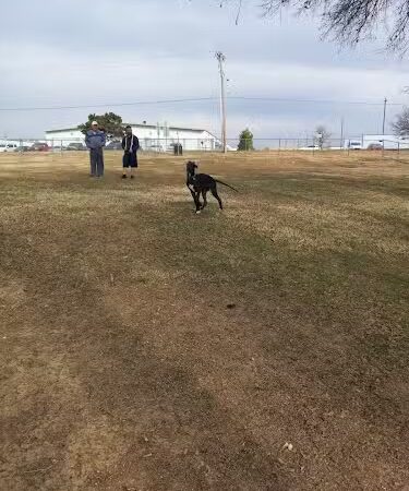 Mary Maxine Williamson Dog Park - Shawnee, OK