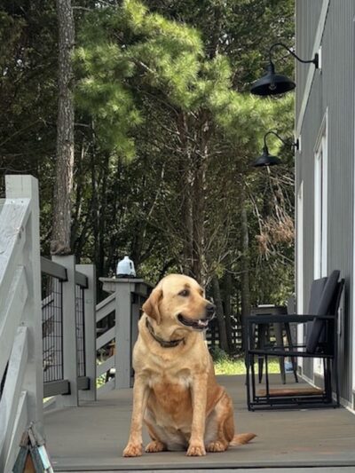 Dog Park Vacation Home