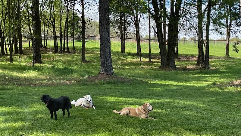 Dog Park Vacation Home