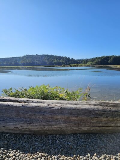 Kennedy Creek Natural Area Preserve - Shelton, WA