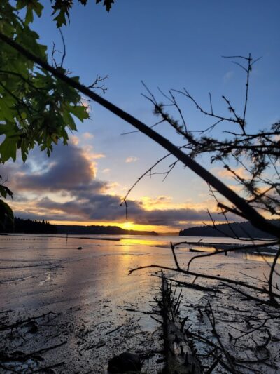 Kennedy Creek Natural Area Preserve - Shelton, WA