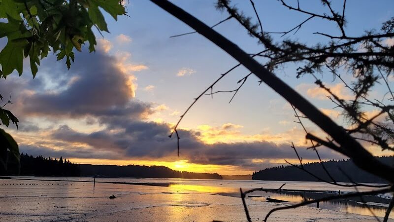 Kennedy Creek Natural Area Preserve - Shelton, WA