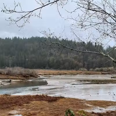 Kennedy Creek Natural Area Preserve - Shelton, WA