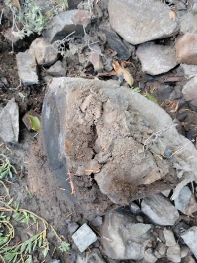 Kennedy Creek Natural Area Preserve - Shelton, WA