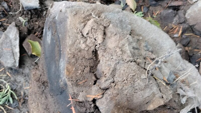 Kennedy Creek Natural Area Preserve - Shelton, WA