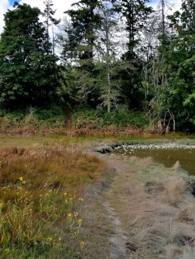 Kennedy Creek Natural Area Preserve - Shelton, WA