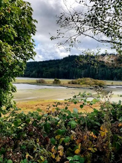 Kennedy Creek Natural Area Preserve - Shelton, WA