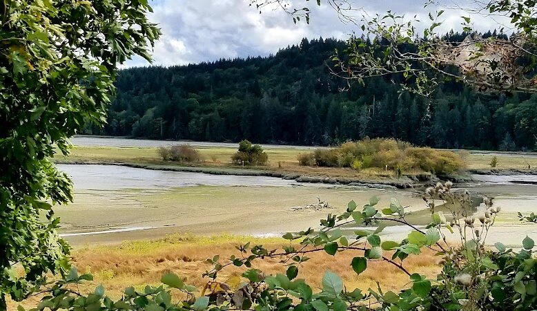 Kennedy Creek Natural Area Preserve - Shelton, WA