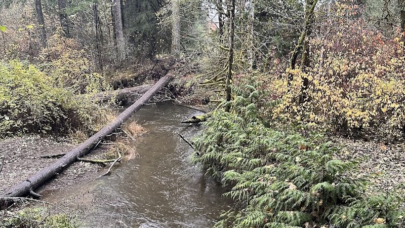 Kennedy Creek Natural Area Preserve - Shelton, WA