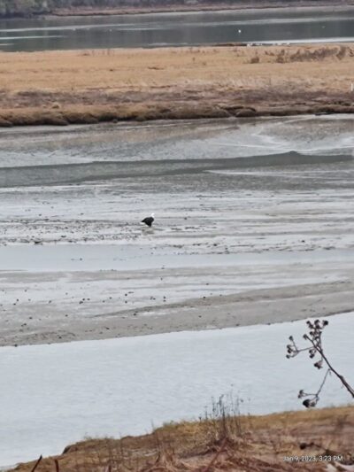 Kennedy Creek Natural Area Preserve - Shelton, WA