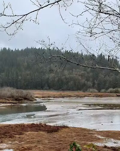 Kennedy Creek Natural Area Preserve - Shelton, WA