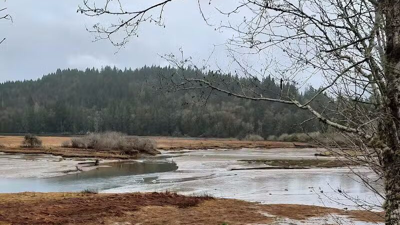 Kennedy Creek Natural Area Preserve - Shelton, WA