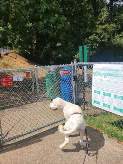 Kneeland Park Off Leash Dog Park - Shelton, WA