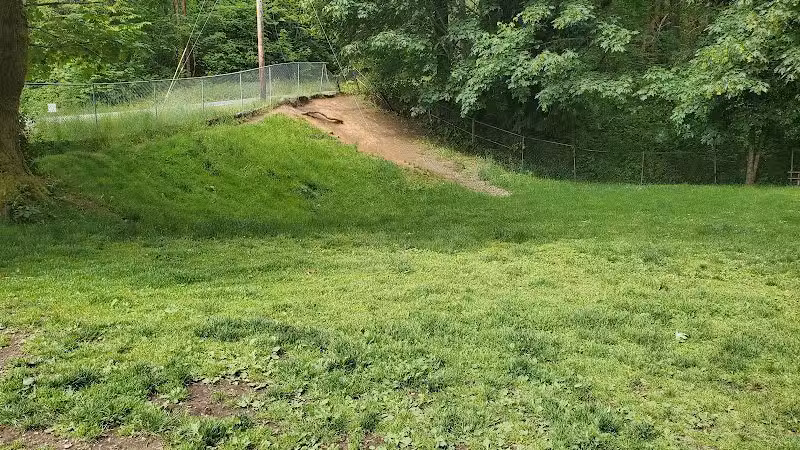 Kneeland Park Off Leash Dog Park - Shelton, WA