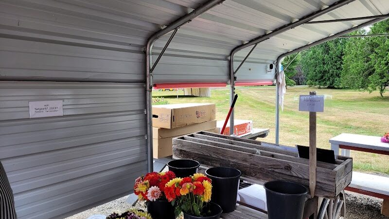 Lynch Creek Dahlias - Shelton, WA