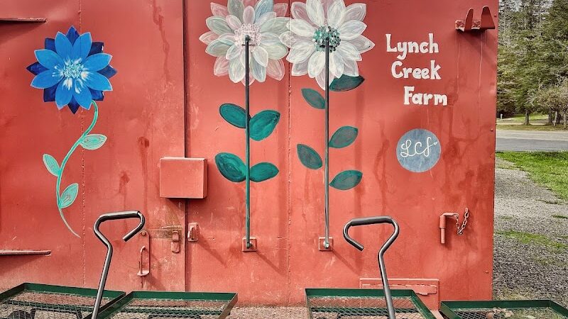 Lynch Creek Dahlias - Shelton, WA