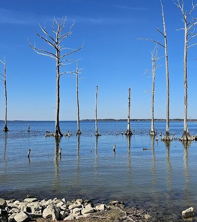 One Mill Park - Shiloh, NC