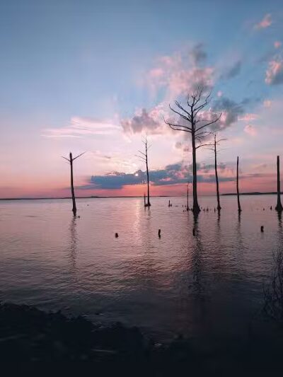 One Mill Park - Shiloh, NC