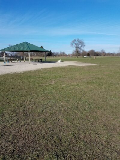 Hammel Woods Dog Park - Shorewood, IL